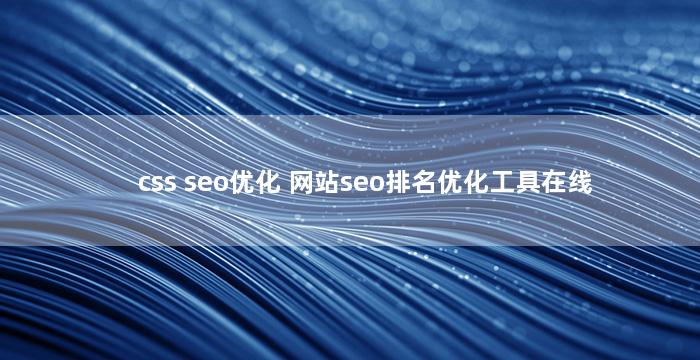 css seo优化 网站seo排名优化工具在线